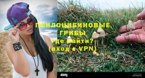 бутират Пролетарск