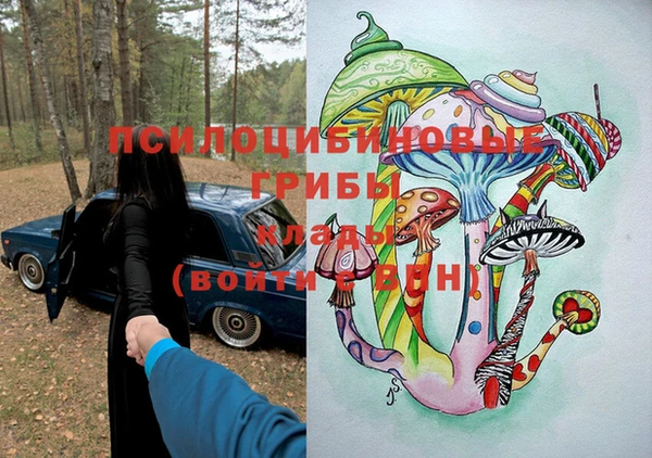 jwh Протвино