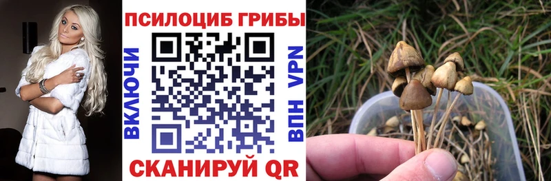 Псилоцибиновые грибы Psilocybine cubensis Балей
